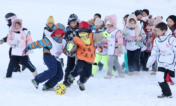 2023-2024年度黑龙江省玩冰乐雪总动员活动举行